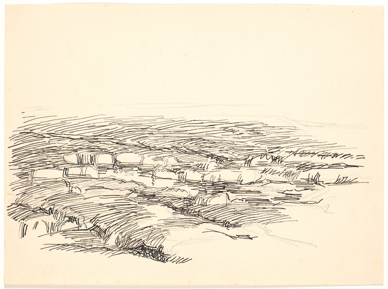 Study for a Moss Landscape by Fritz Syberg