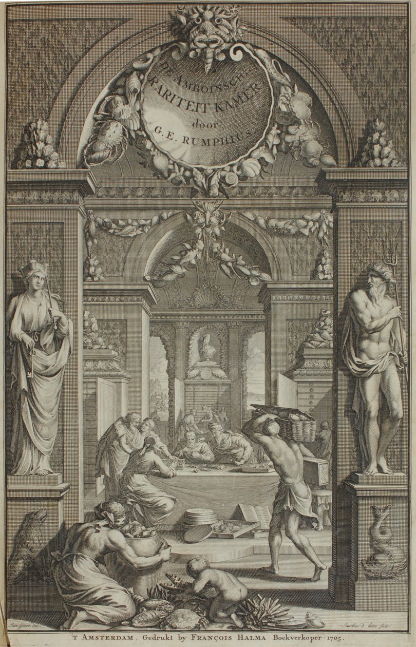 G. E. Rumphius, Amboinese Curiosity Cabinet, Amsterdam 1705 by G. E. Rumphius
