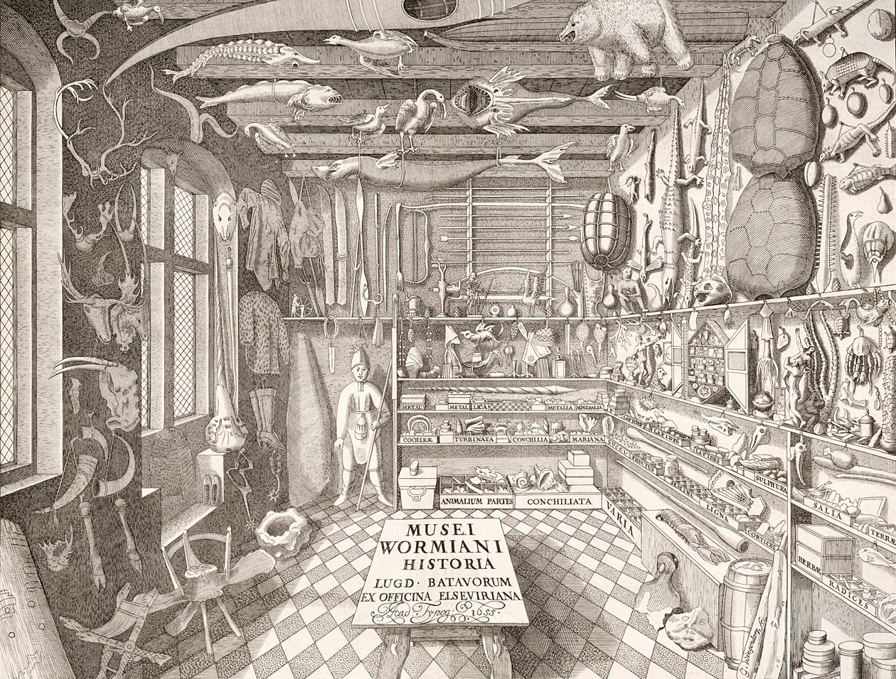 Museum of Ole Worm, Leiden, 1655 by G. Wingendorp