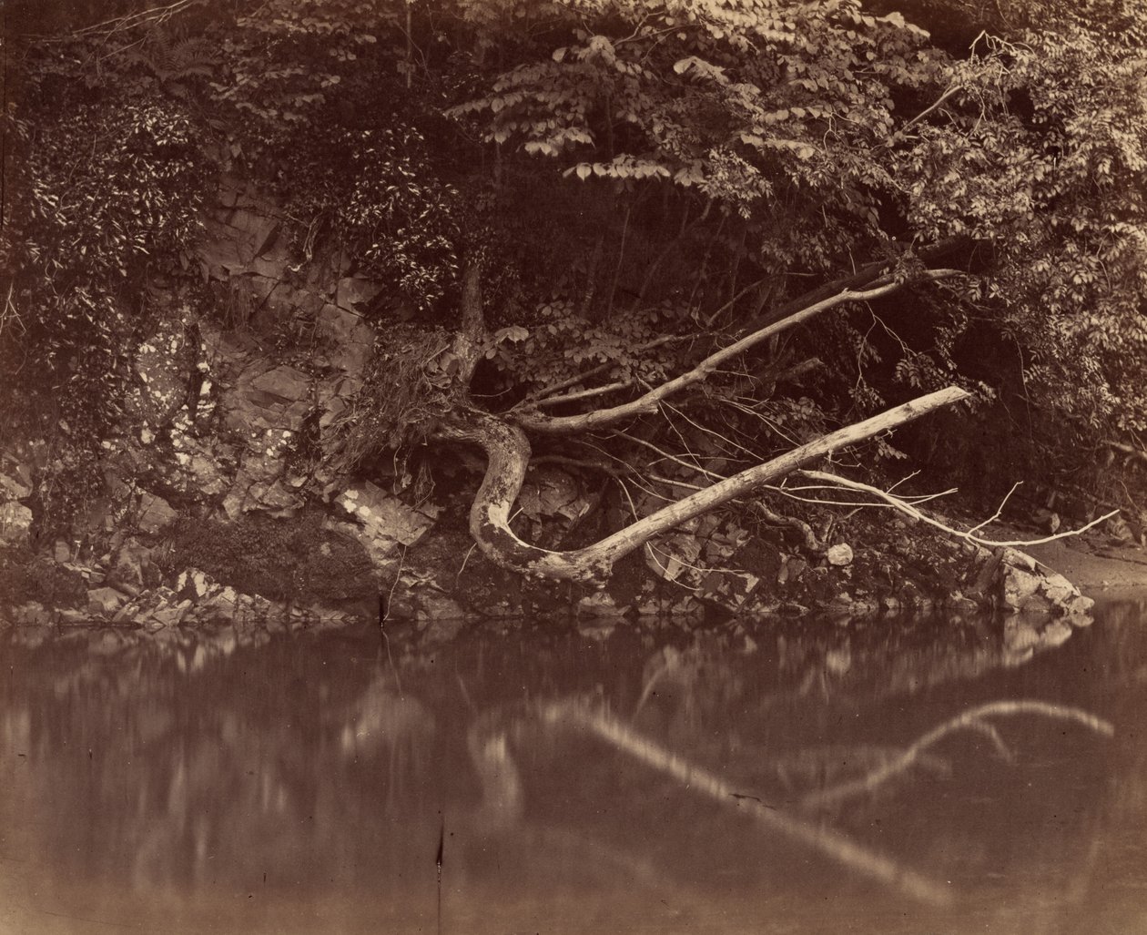 River Bank in the Vale of Neath, c. 1855 by G.B. Gething