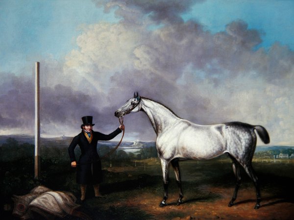 Gentleman holding a grey racehorse on a course by G. Jackson