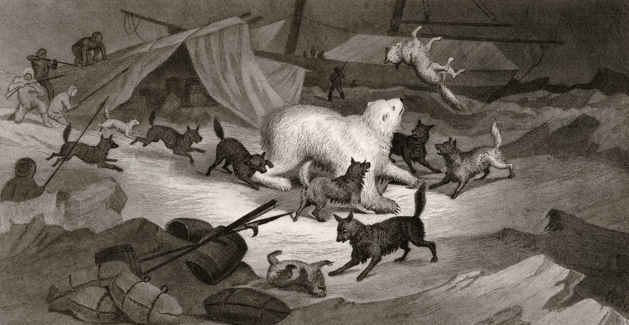 Bear Hunt, engraved by J.C. McRea, from 