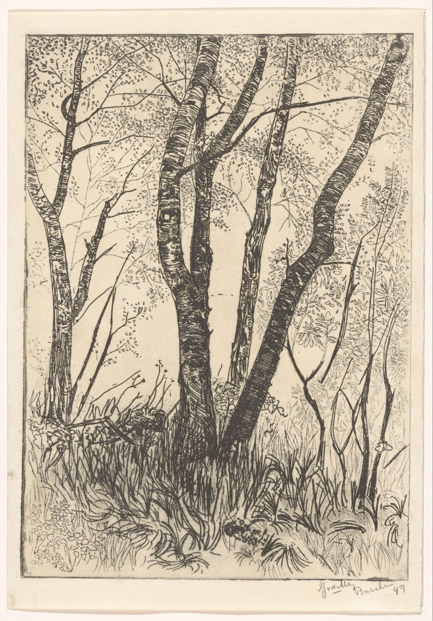 Trees in Tall Grass by G. van der Mey (signed by artist)