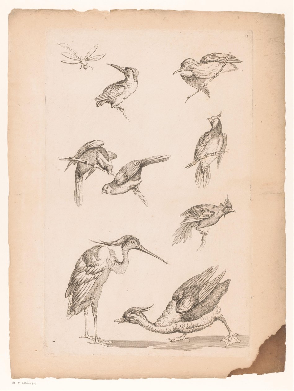 Eight Chinese Birds, Including Kingfishers, a Heron, a Duck, and a Dragonfly by Gabriel Huquier (attributed to)