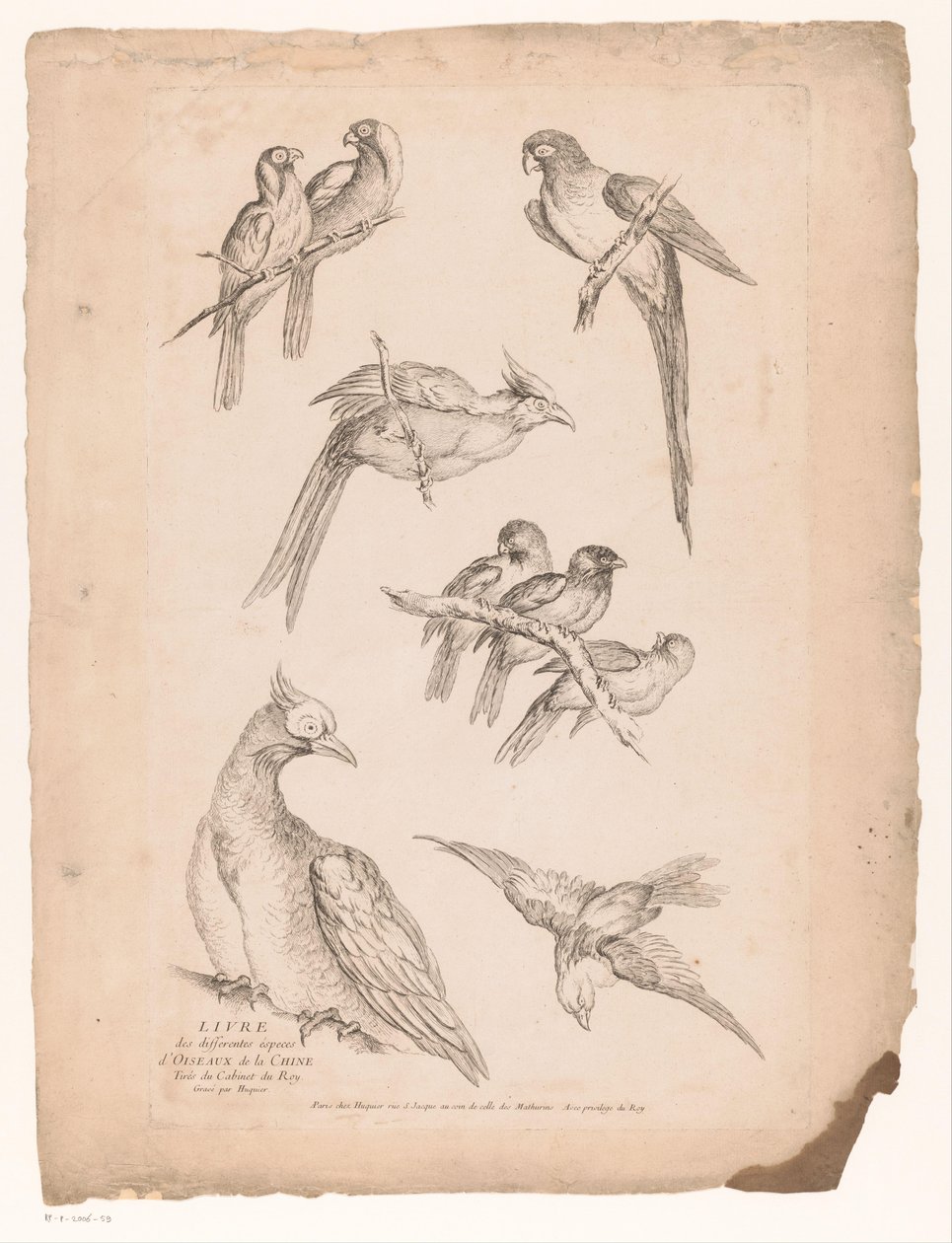 Nine Chinese Birds by Gabriel Huquier (attributed to)