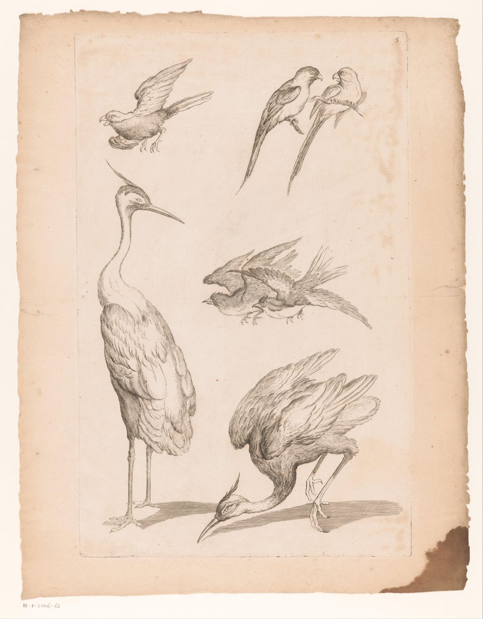 Seven Chinese Birds, Including Herons and Parrots by Gabriel Huquier (attributed to)
