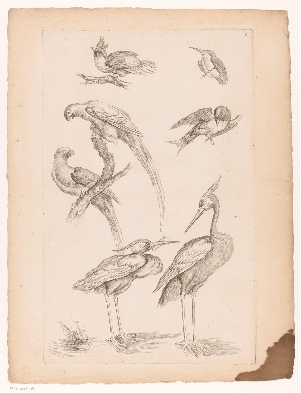 Seven Chinese Birds, Including Herons and Parrots by Gabriel Huquier (attributed to)