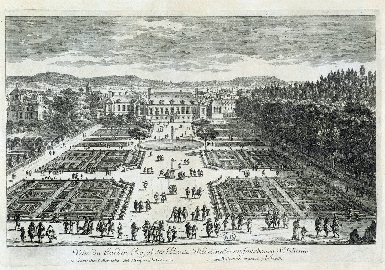 View of the Jardin des Plantes in the 17th century, by Perelle by Gabriel Perelle