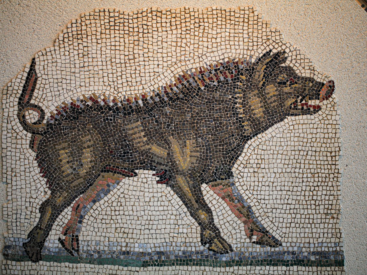Roman Mosaic by Gallo-Roman
