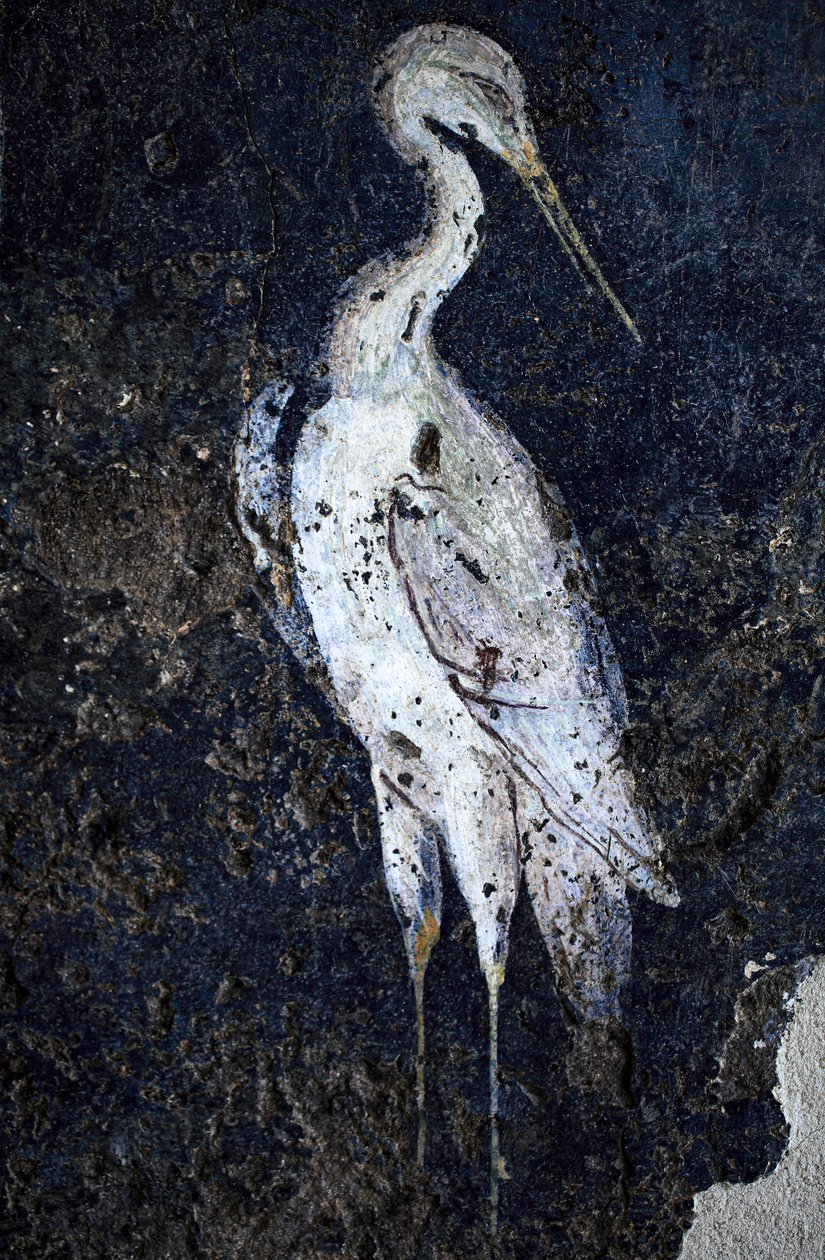 Roman Wall-Painting by Gallo-Roman