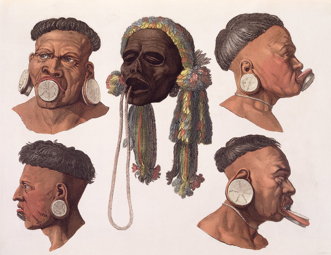 Heads of Botocudos Indians by Gallo Gallina