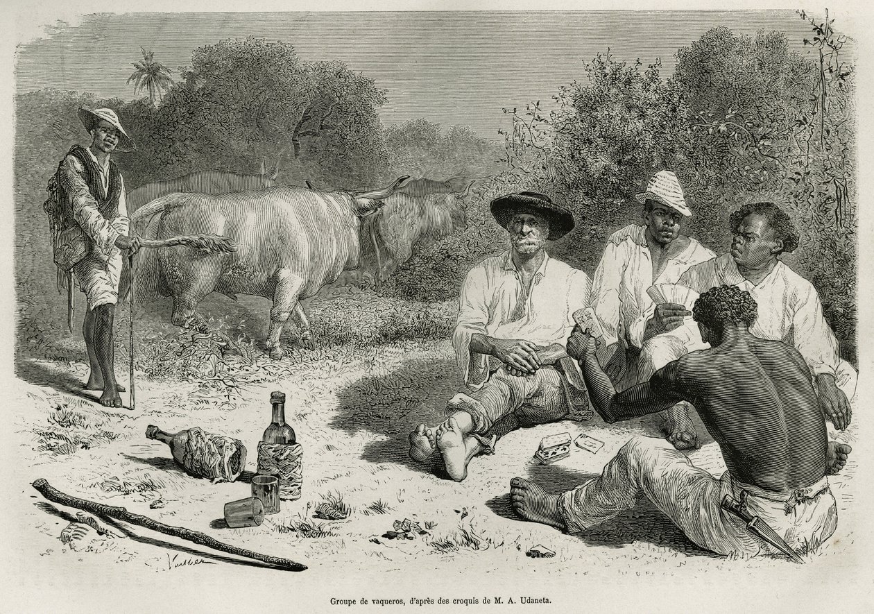 A group of vaqueros playing cards and drinking alcohol, near their herds of oxen. Engraving after a drawing by G. Vuillier, to illustrate the story De Cayenne aux Andes, by Jules Crevaux, doctor of the French navy, in 1878-1879, published in the Tour du mo by Gaston Vuillier