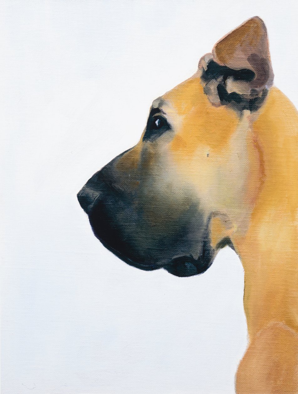 Great Dane by Genevieve French