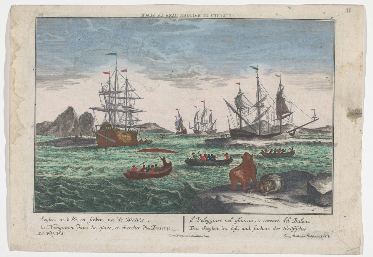 View of Whale Hunting (Whaling for Greenland) by Georg Balthasar Probst