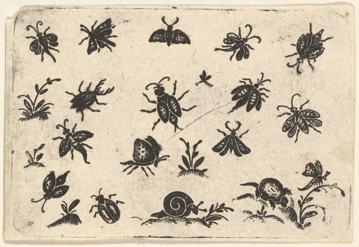 Small Motifs of Insects and Plants by Georg Herman