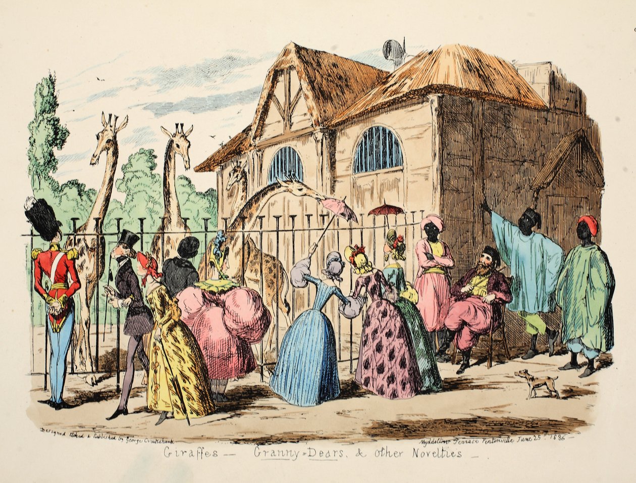 Giraffes - Granny Dears and Other Novelties, pub. 1886 by George Cruikshank