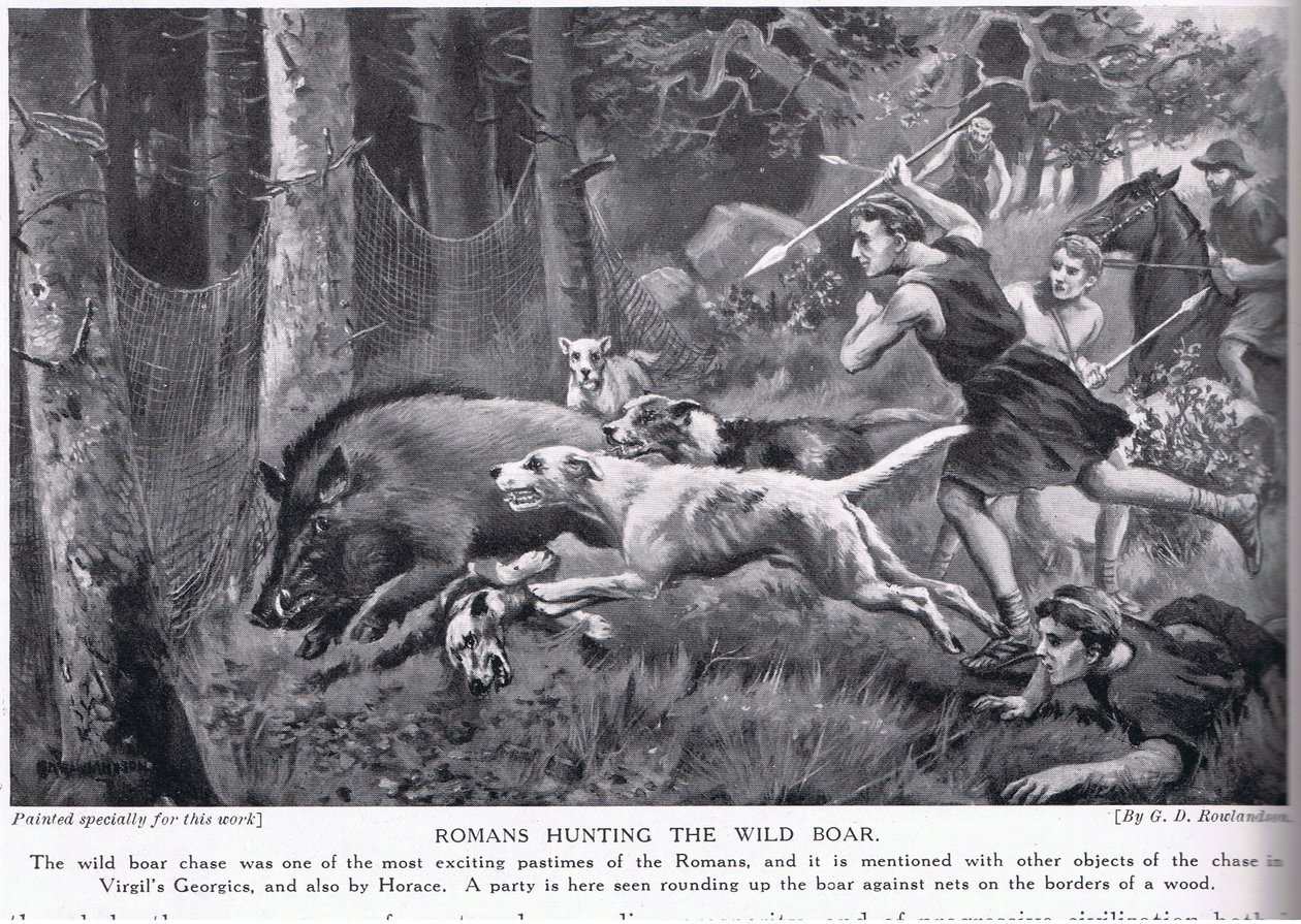 Romans hunting wild boar by George Derville Rowlandson