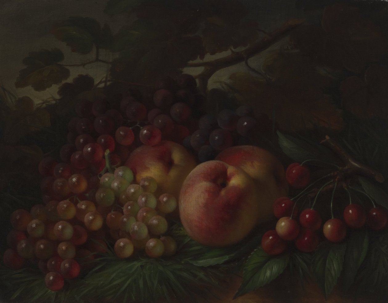 Peaches, Grapes and Cherries by George Henry Hall