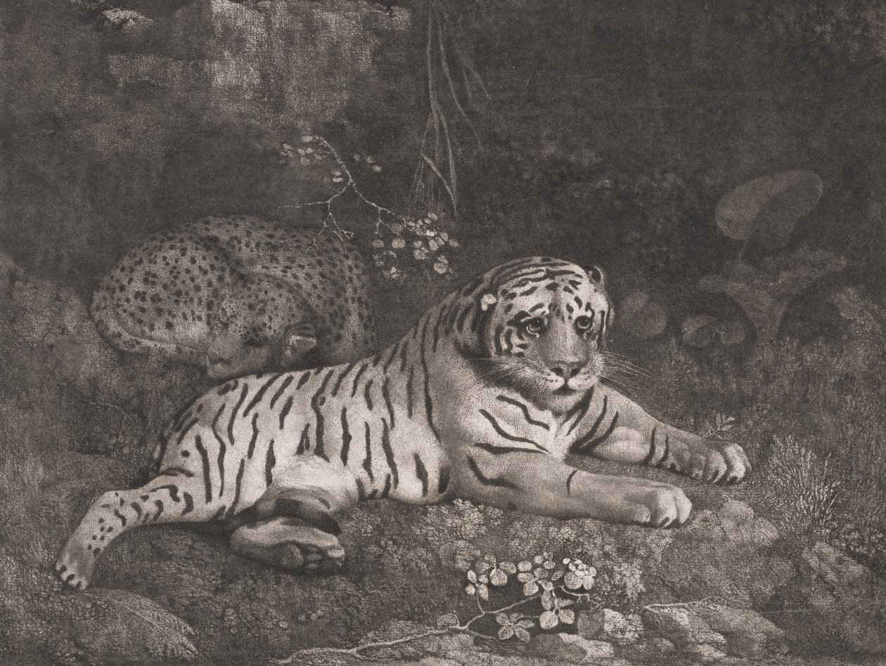 A Tiger and a Sleeping Leopard by George Stubbs
