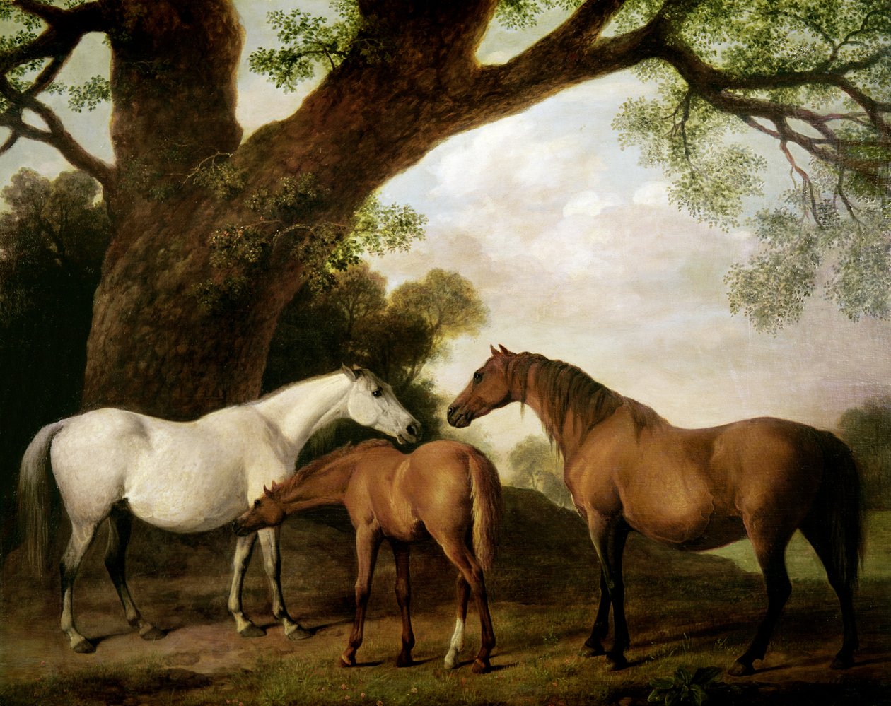 Two Shafto Mares and a Foal, 1774 by George Stubbs