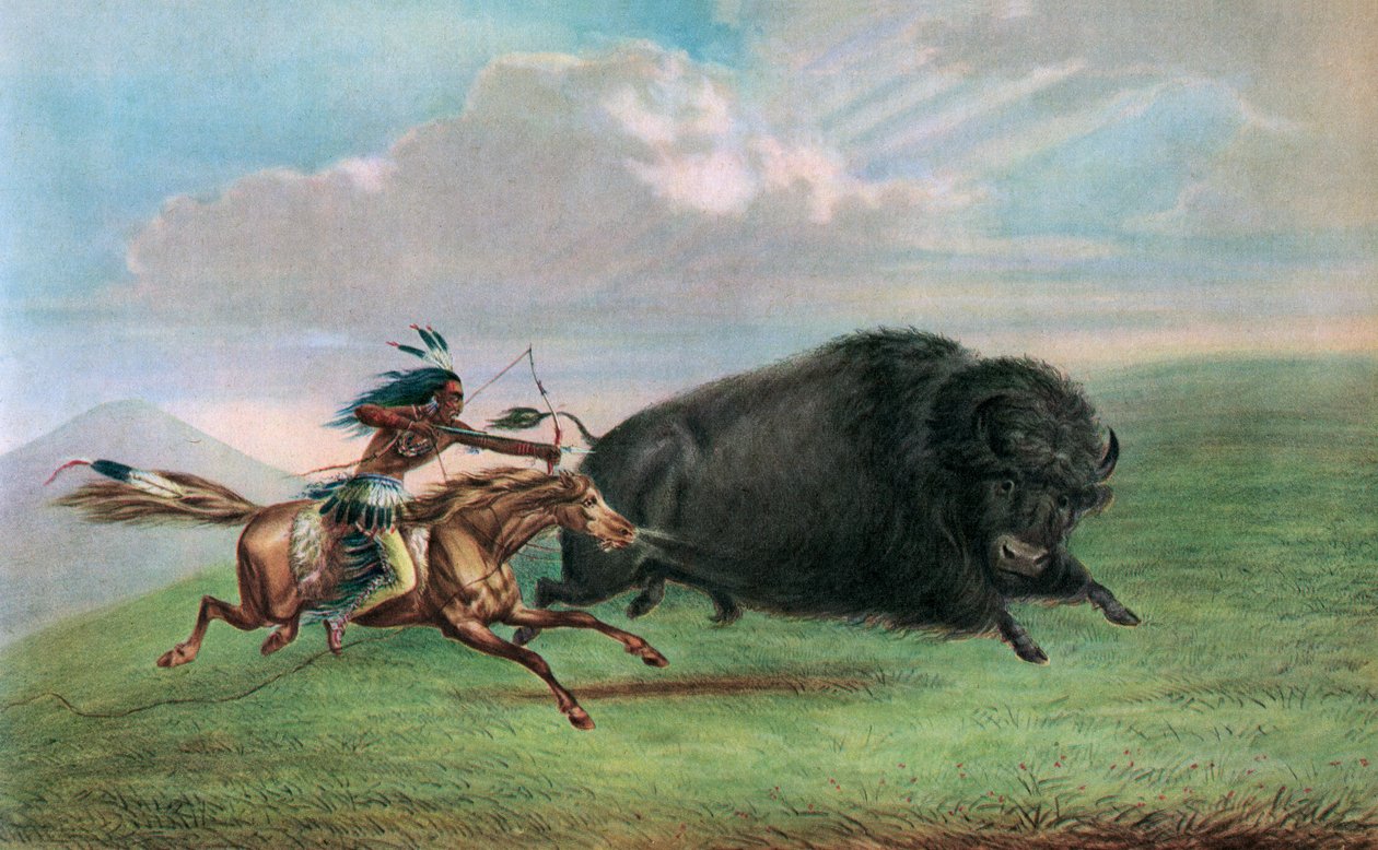 Print after Buffalo Hunt by George (after) Catlin