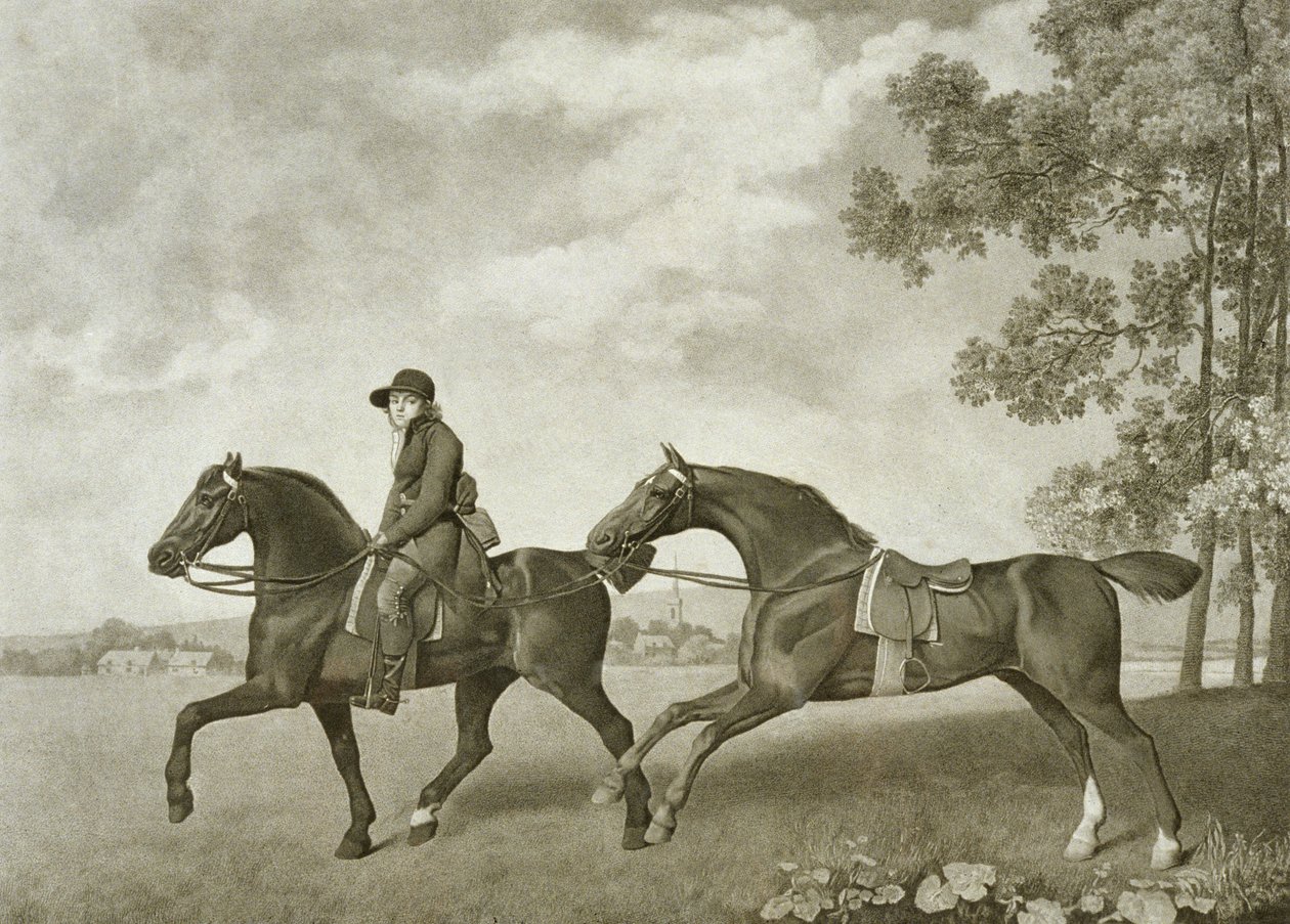 Two Hacks (engraved by George Townley Stubbs) by George (after) Stubbs