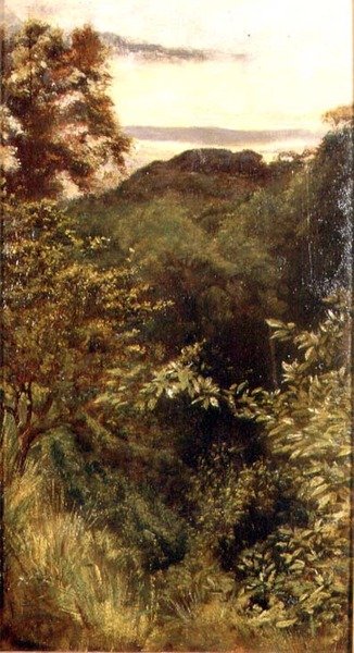 The Glen, Naworth, Cumbria by George 9th Earl of Carlisle Howard