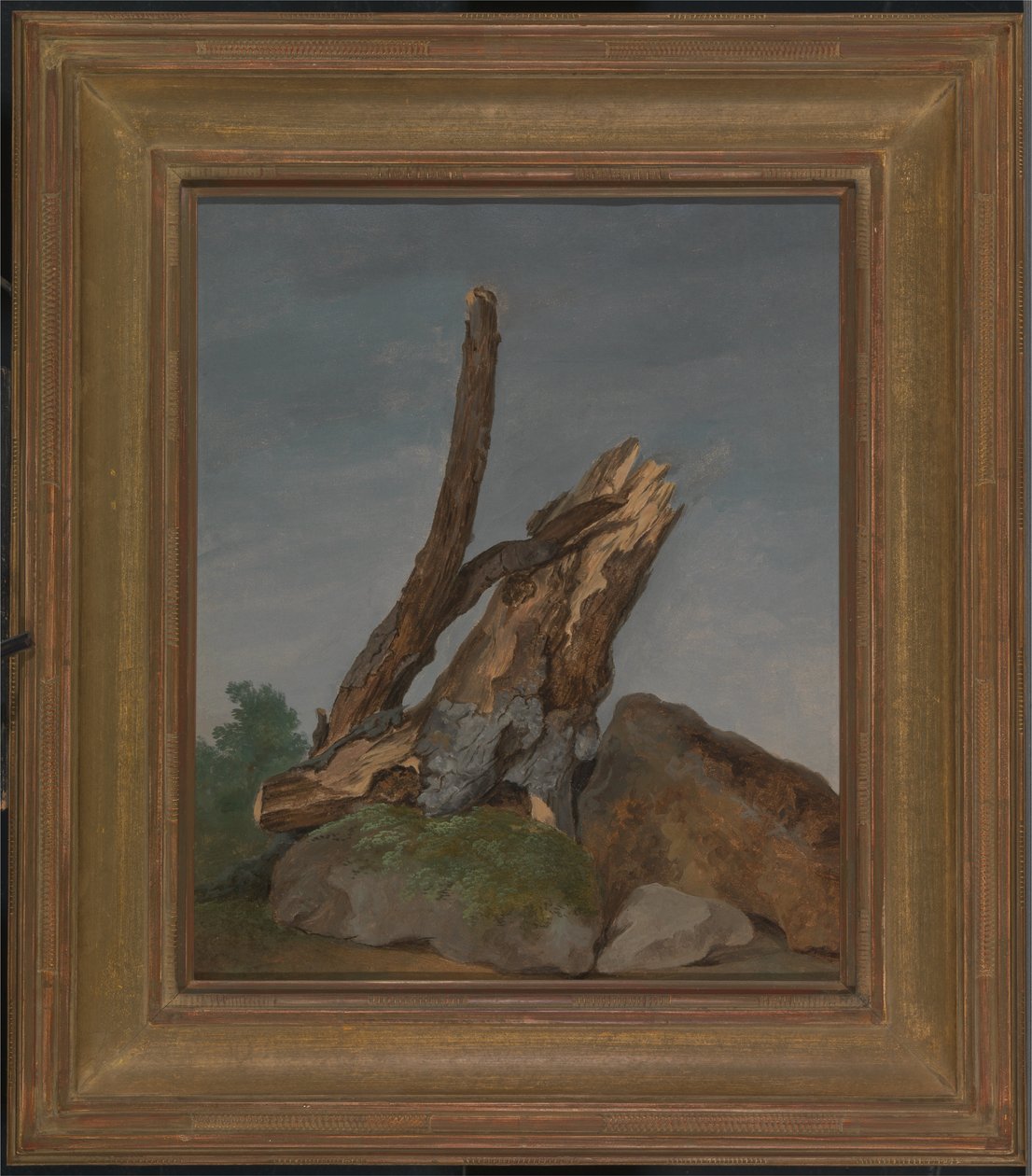 Study of Rocks and Branches by George Augustus Wallis