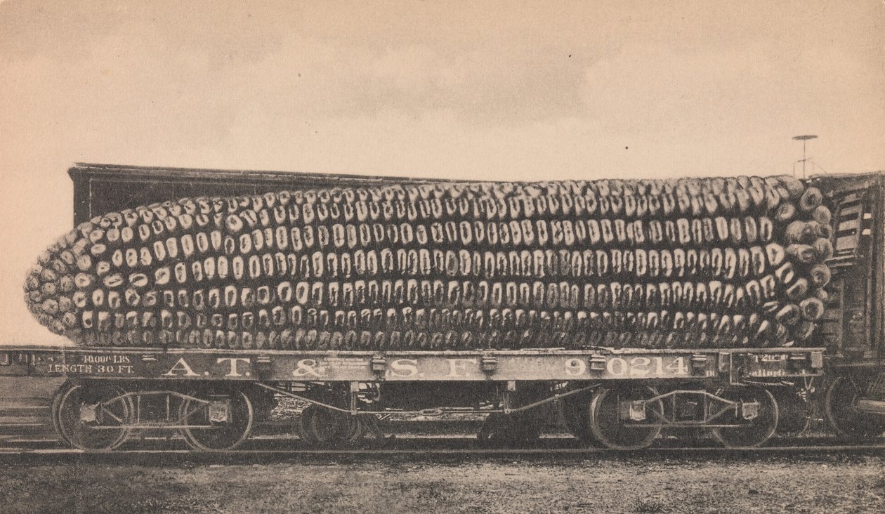 A Car Load of Texas Corn, ca. 1910 by George B. Cornish
