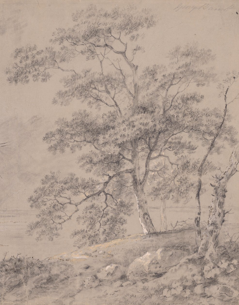 Tree Study by George Barret