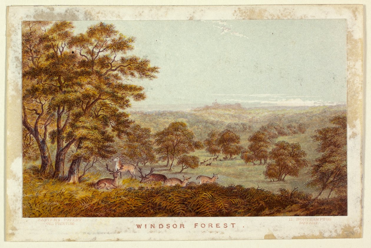 Windsor Forest (Pocket Book version) by George Baxter