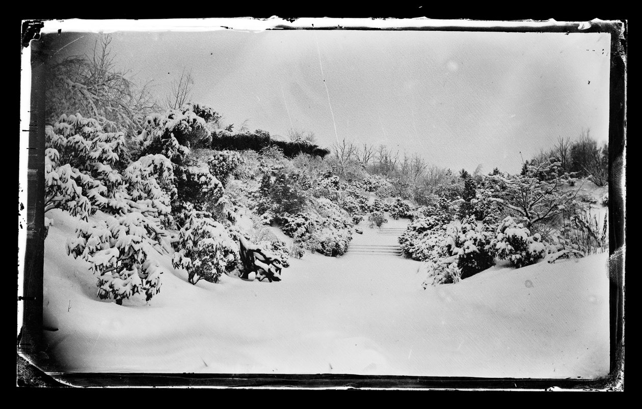 Rose Arbor from below, Prospect Park, Brooklyn by George Bradford Brainerd