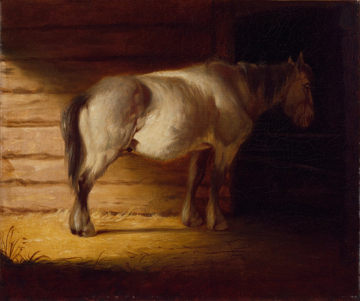 Old Field Horse by George Caleb Bingham
