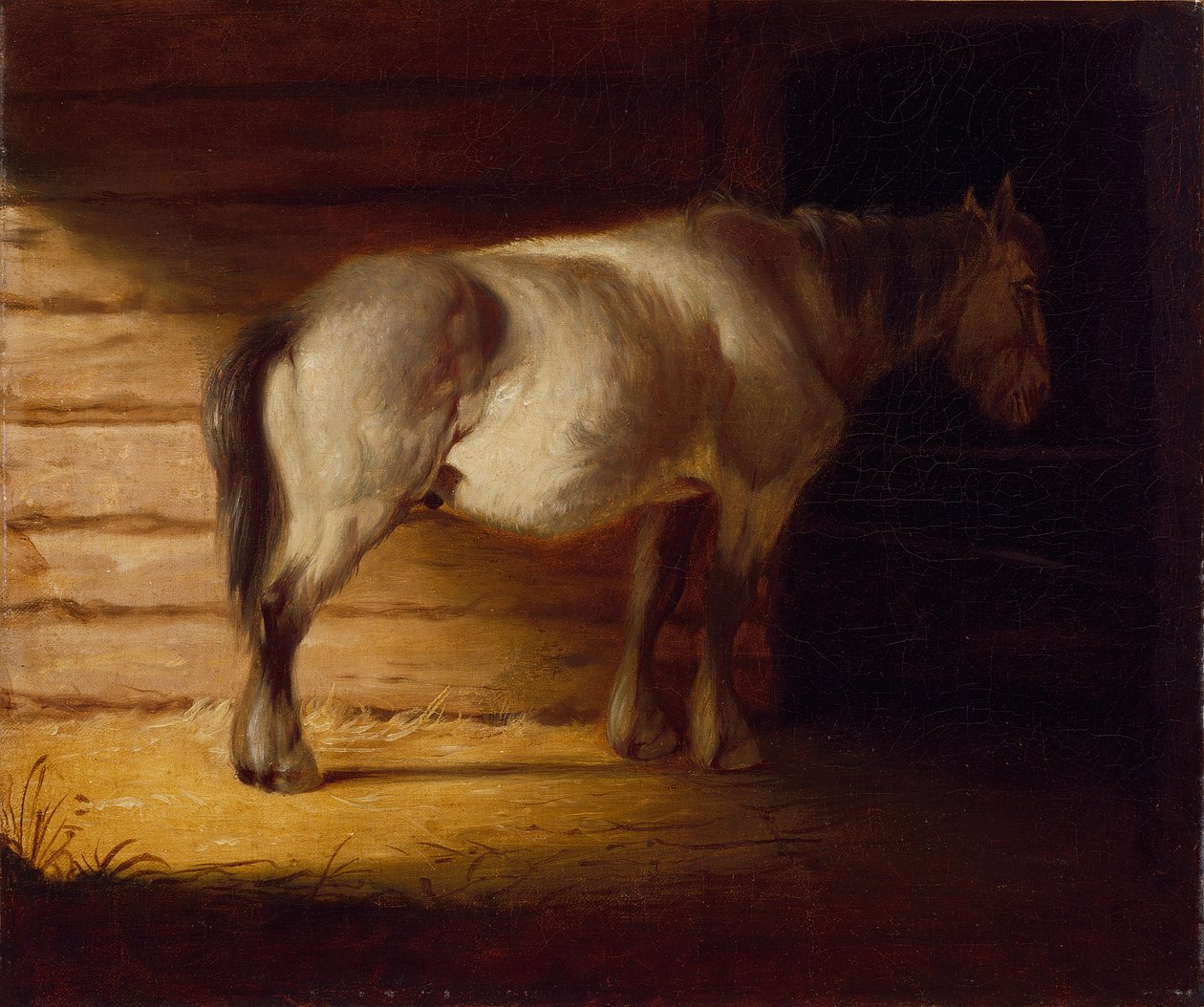Old Field Horse, by 1856 by George Caleb Bingham