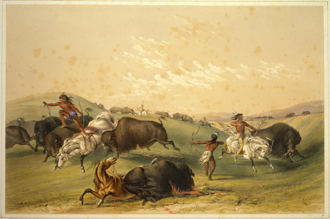 Buffalo Hunt: A Numerous Group by George Catlin