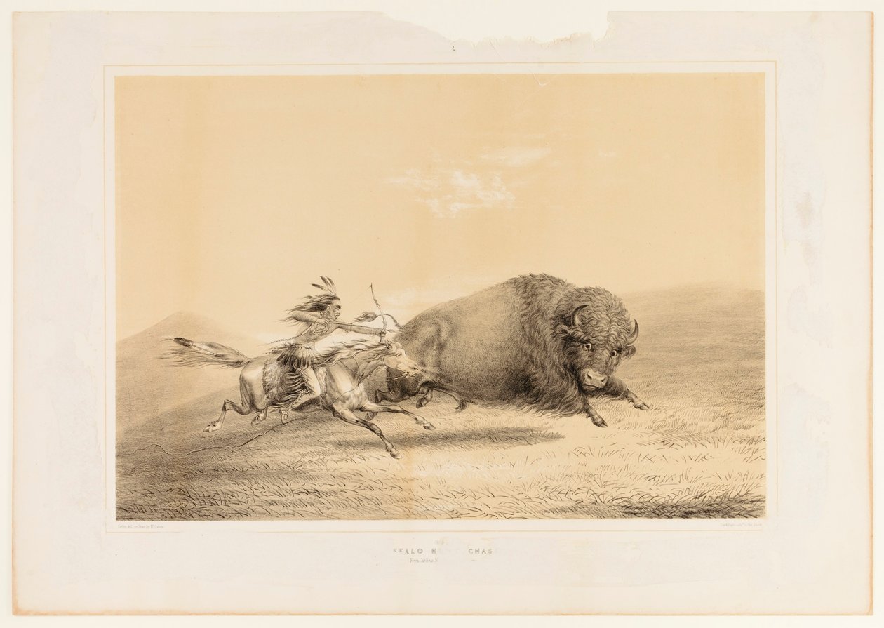 Buffalo Hunt, Chase--No. 5 by George Catlin