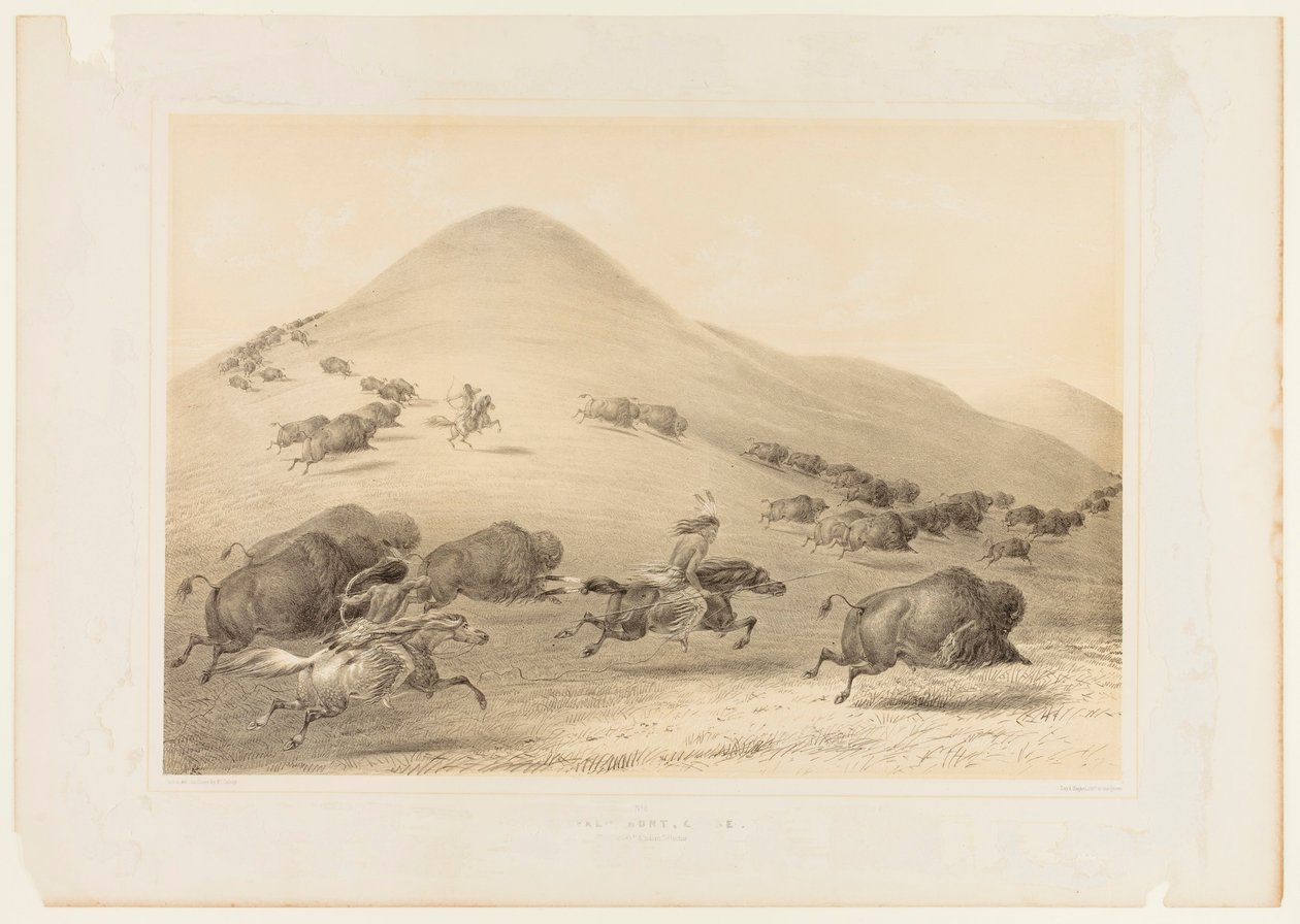 Buffalo Hunt, Chase--no. 6 by George Catlin