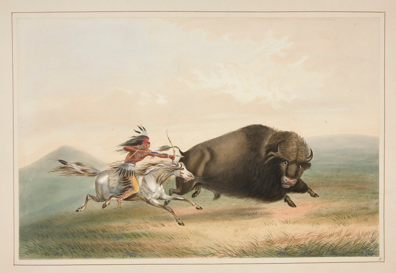 Buffalo Hunt, Chase, Plate 5 from the North American Indian Portfolio by George Catlin