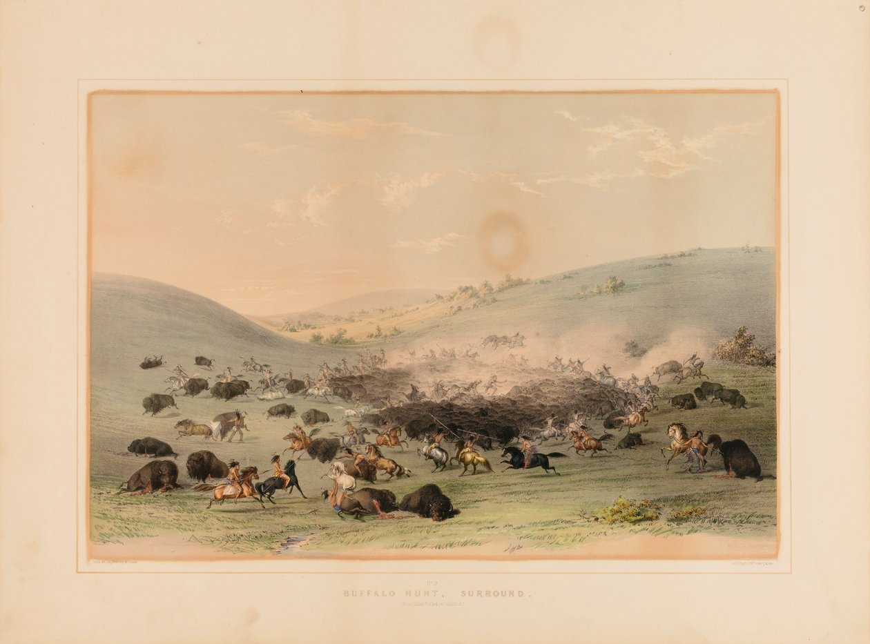 Buffalo Hunt Surround--no. 9 by George Catlin