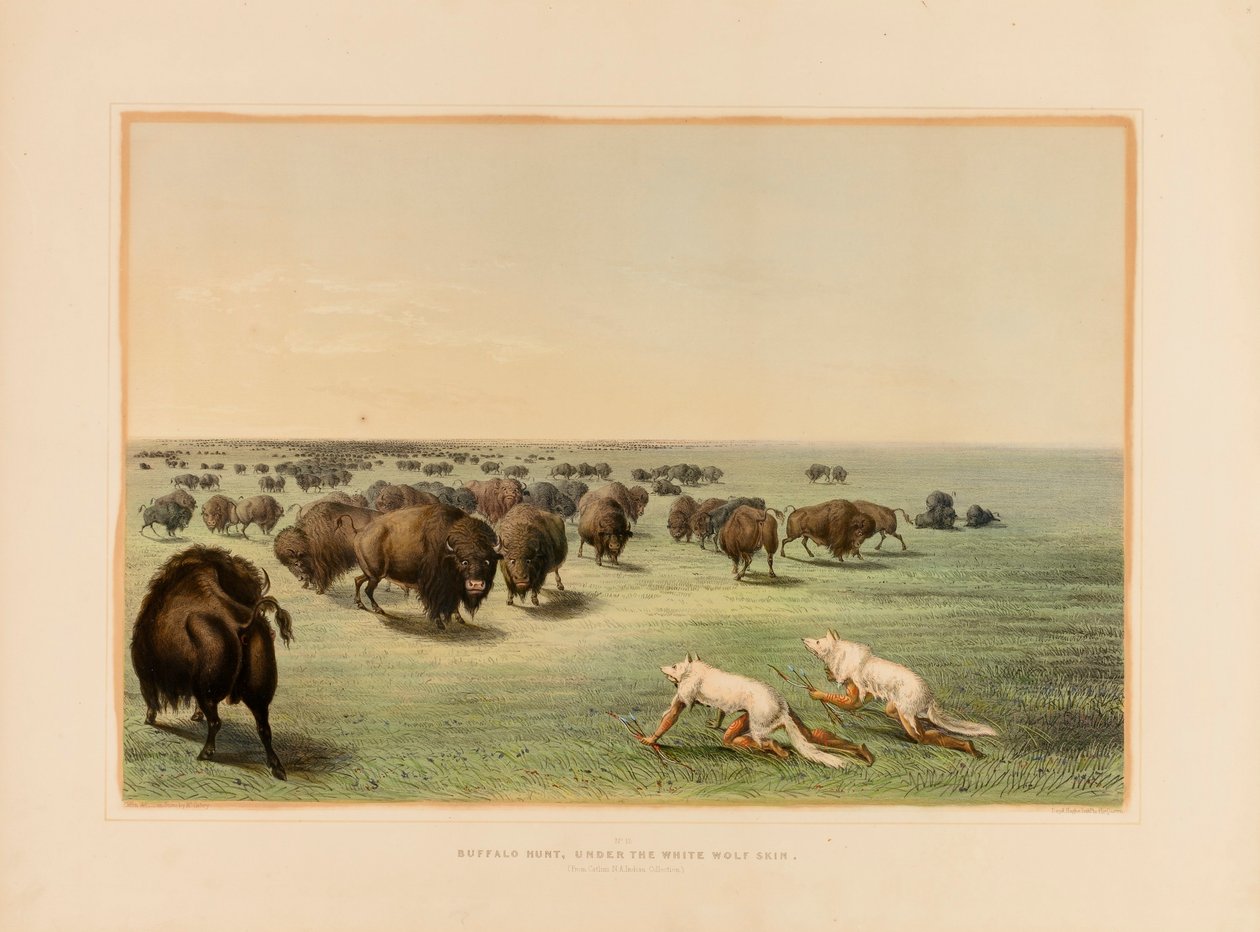 Buffalo Hunt, under the White Wolfskin--no. 13 by George Catlin