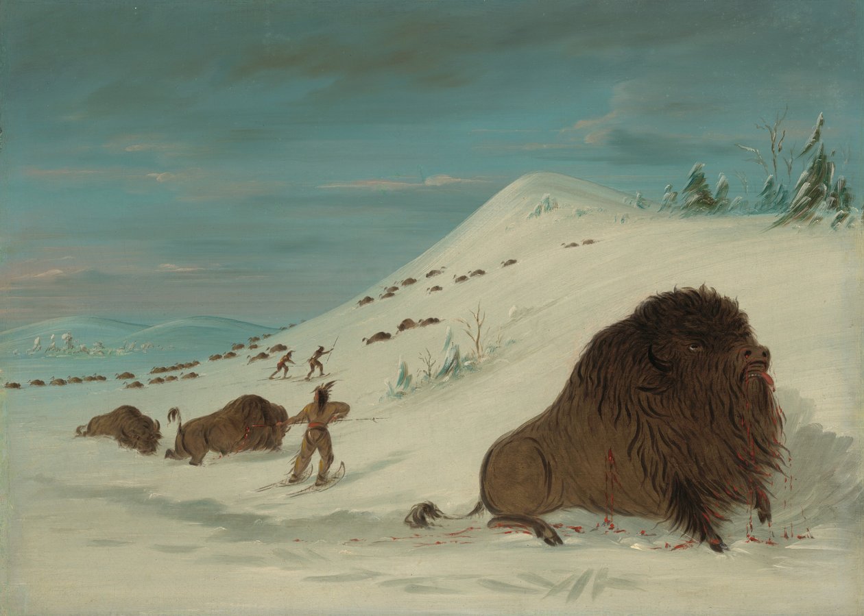 Buffalo Lancing in the Snow Drifts - Sioux by George Catlin