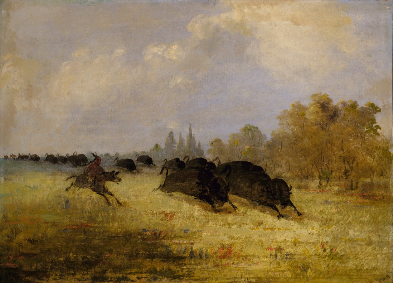 Caddo Indians Chasing Buffalo, Cross Timbers, Texas by George Catlin