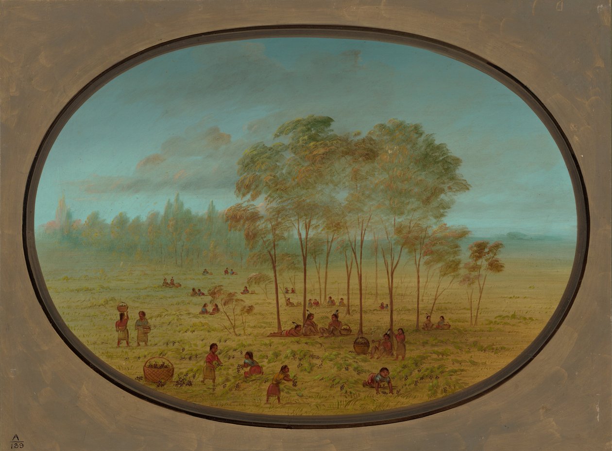Kiowa Indians Gathering Wild Grapes by George Catlin