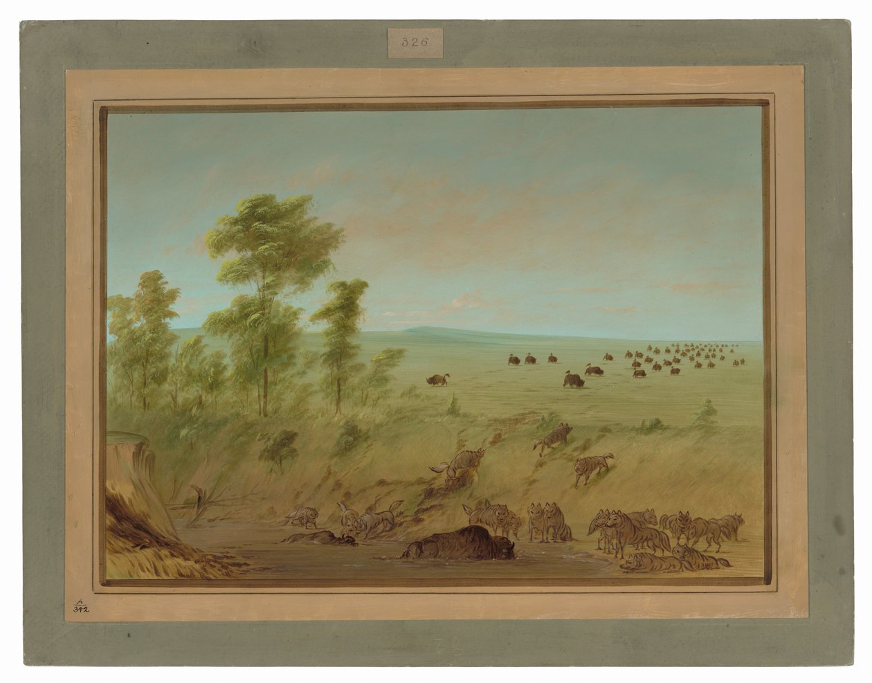 Mired Buffalo and Wolves by George Catlin