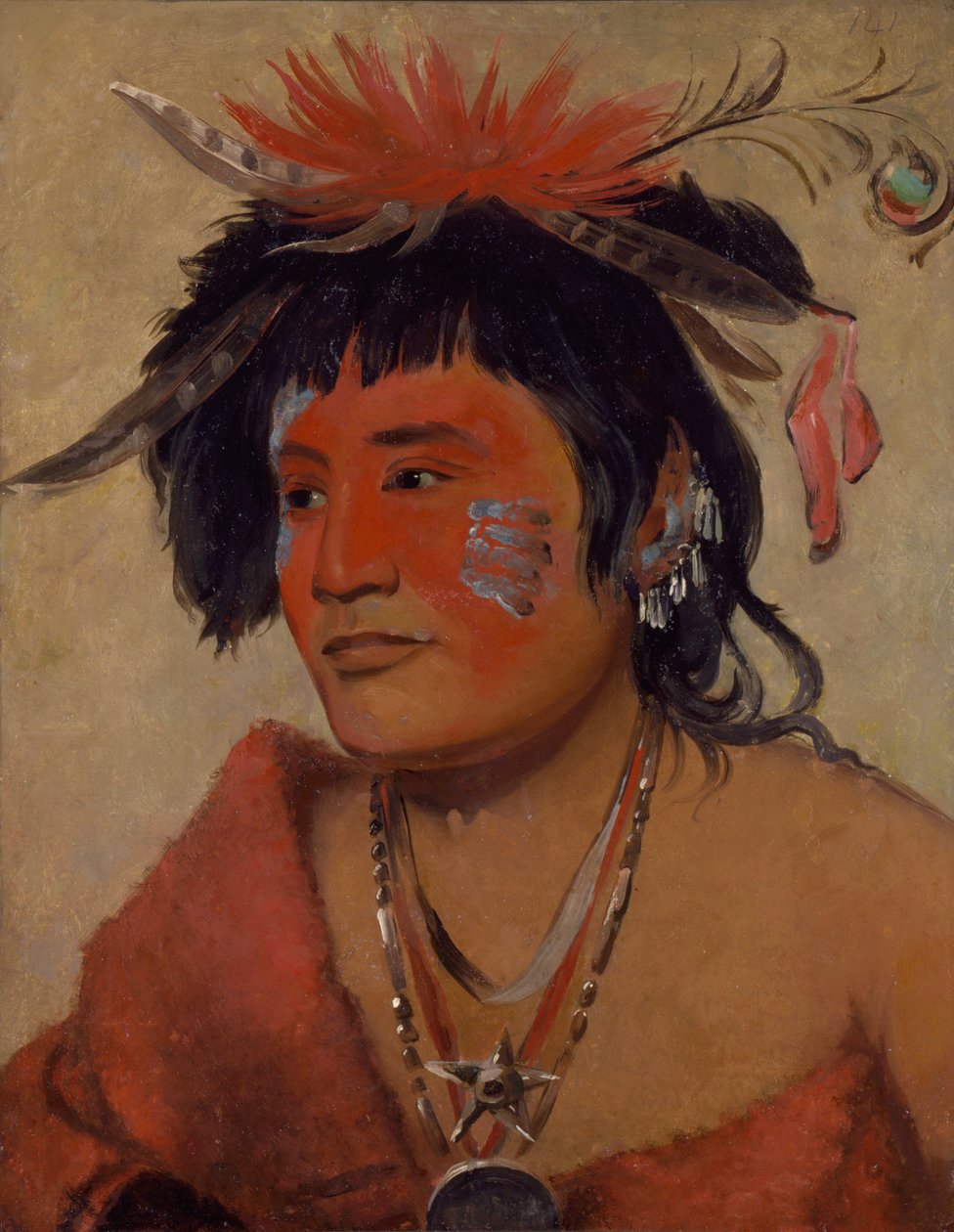 Pah-shee-náu-shaw, a Warrior by George Catlin