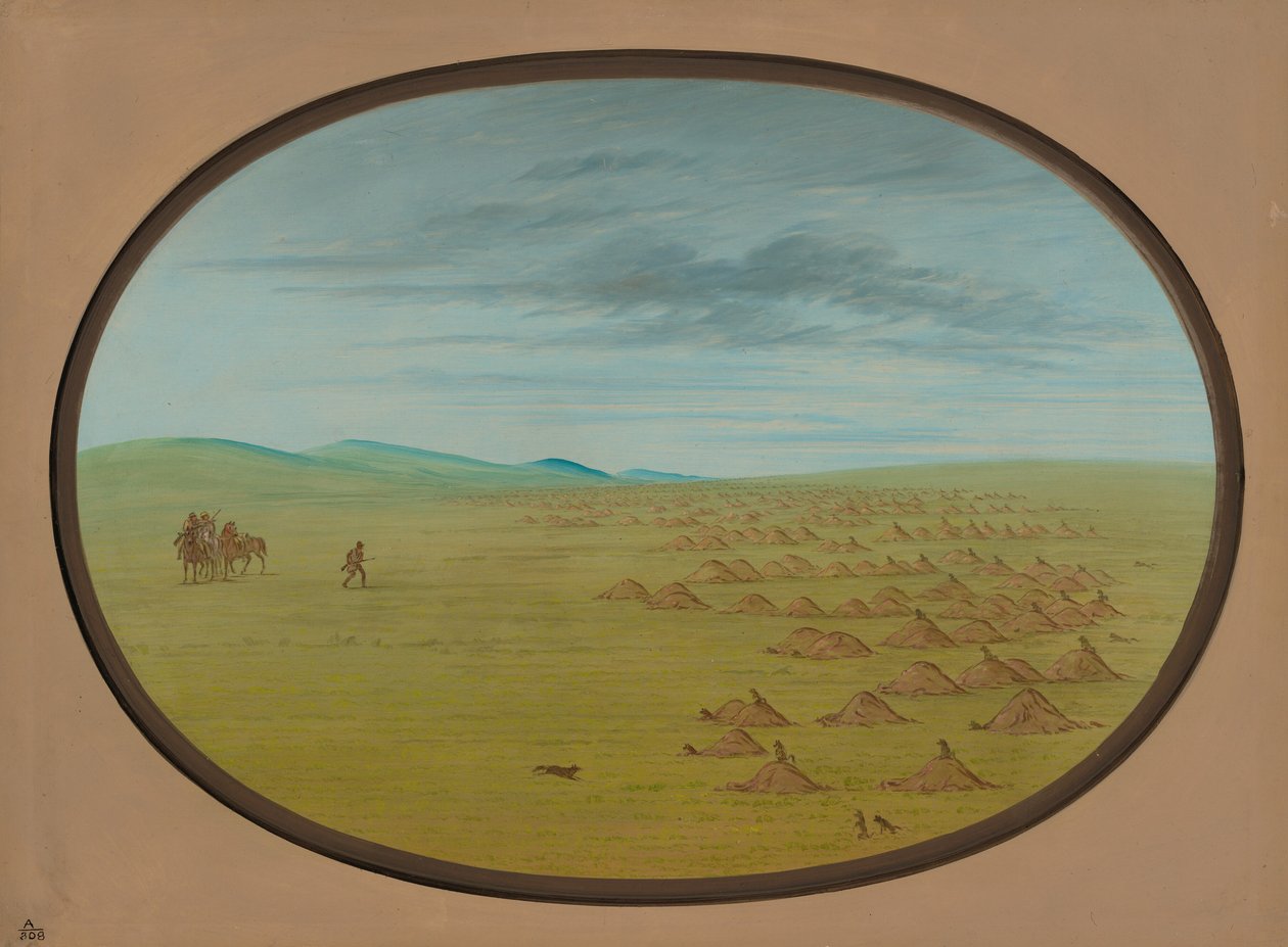Prairie Dog Village by George Catlin