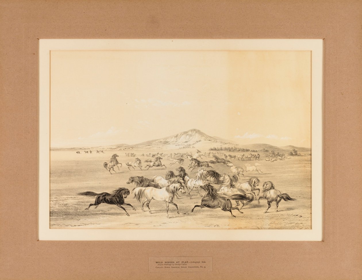 Wild Horses at Play--no. 3 by George Catlin