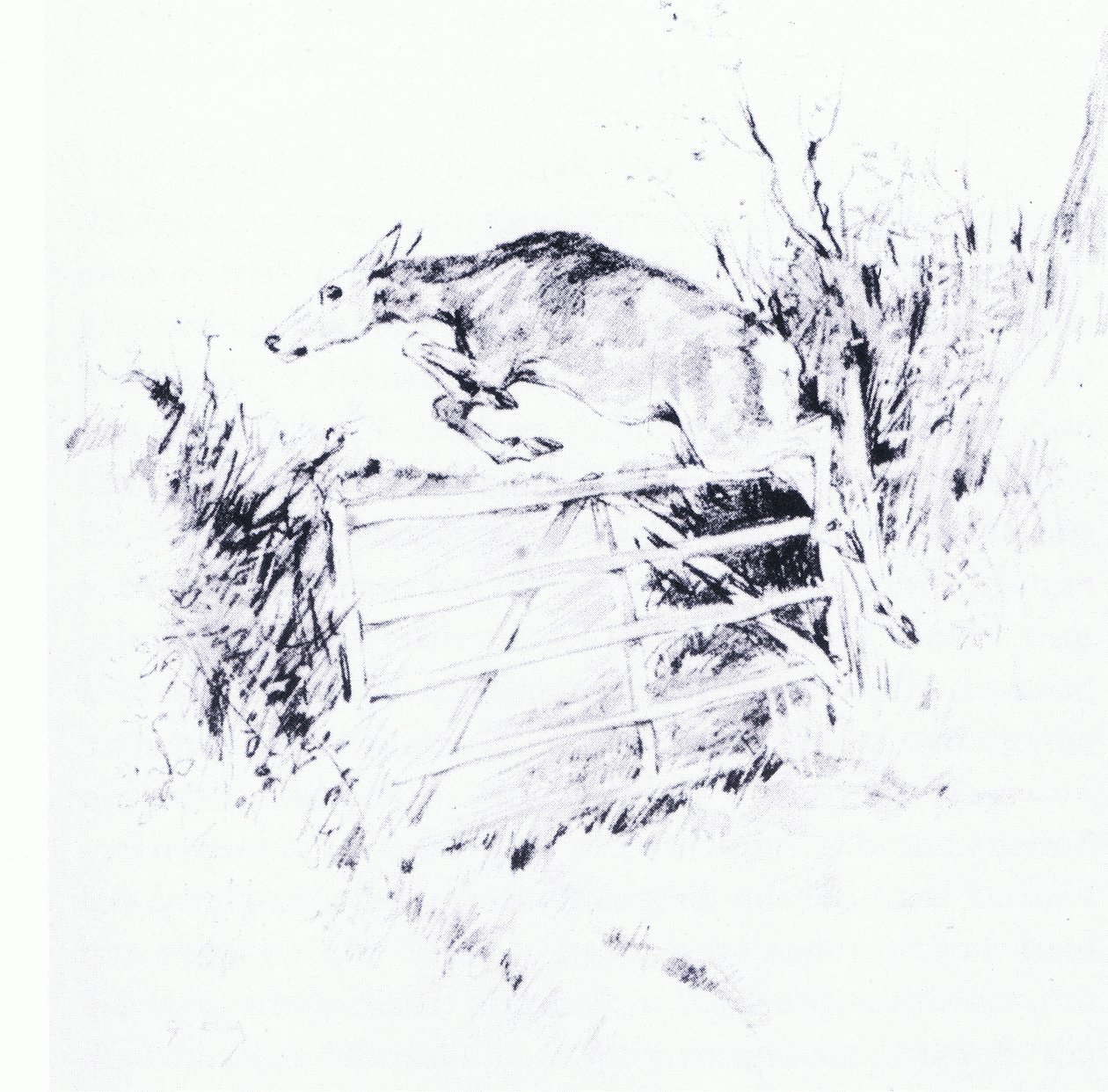 Like an arrow from a bow by George Denholm Armour