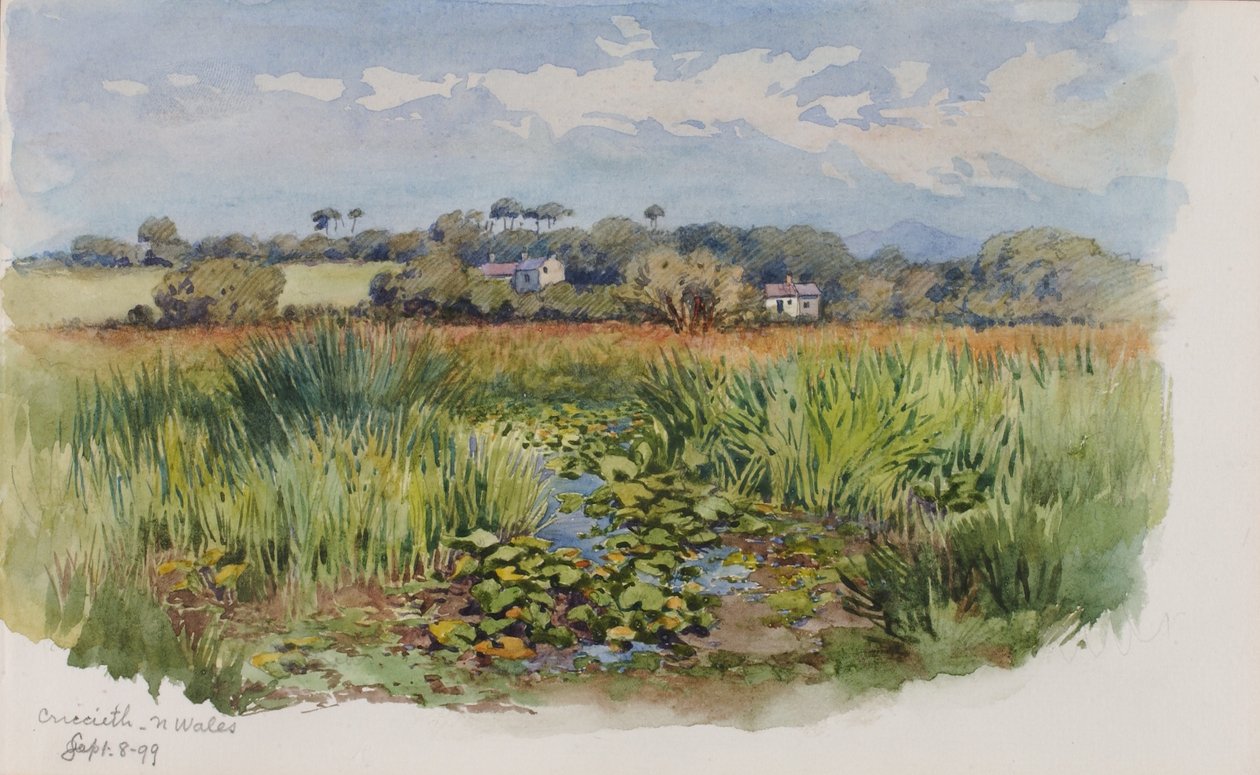 Criccieth, North Wales by George Elbert Burr