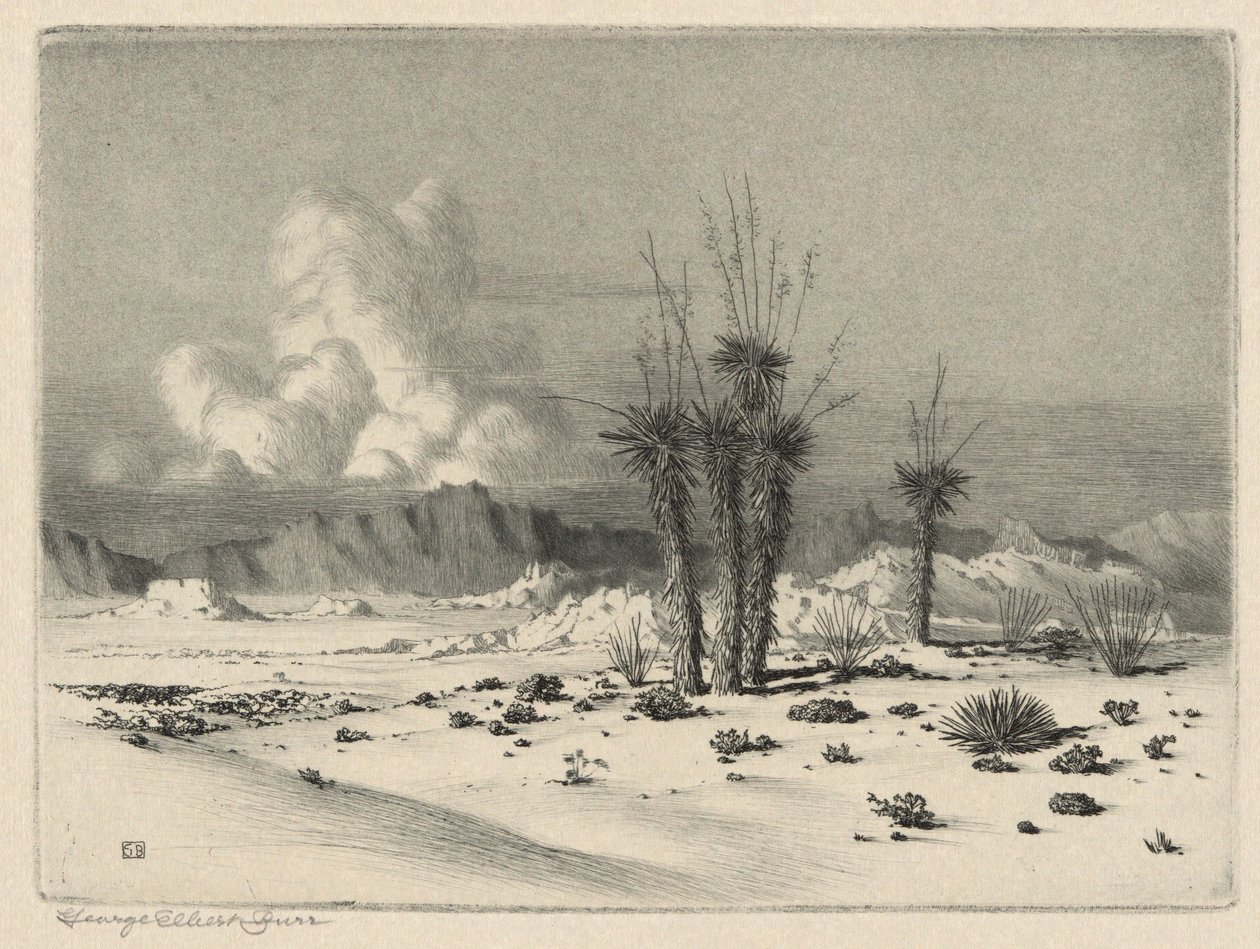 Evening, Arizona by George Elbert Burr